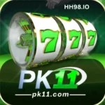 PK11 Game