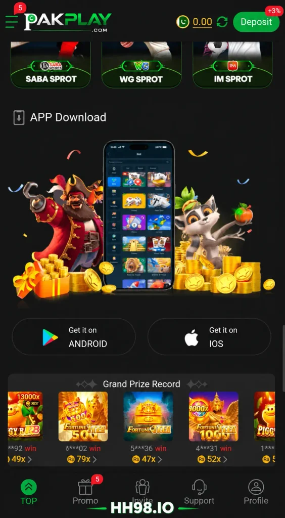 pakplay game